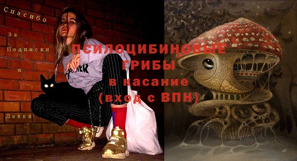 таблы Абаза