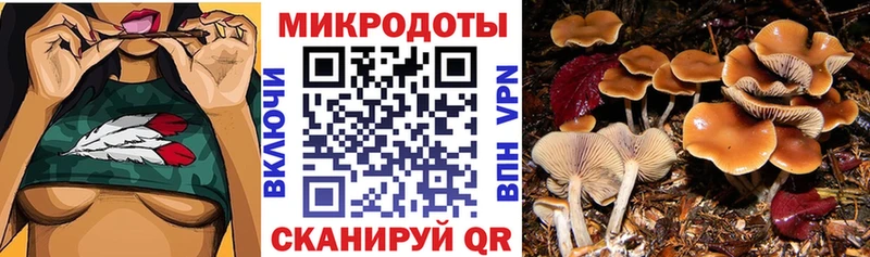 Псилоцибиновые грибы GOLDEN TEACHER Анадырь